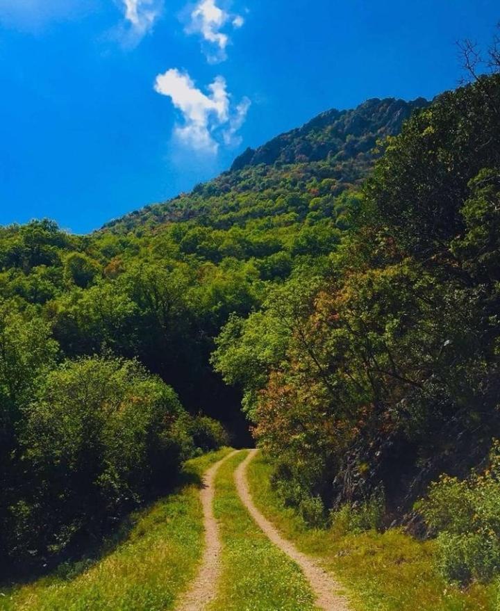 Apartmani Dumezic Bar Exteriér fotografie