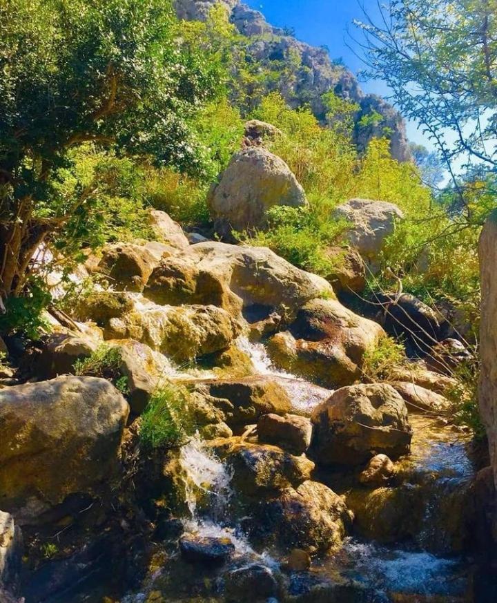 Apartmani Dumezic Bar Exteriér fotografie
