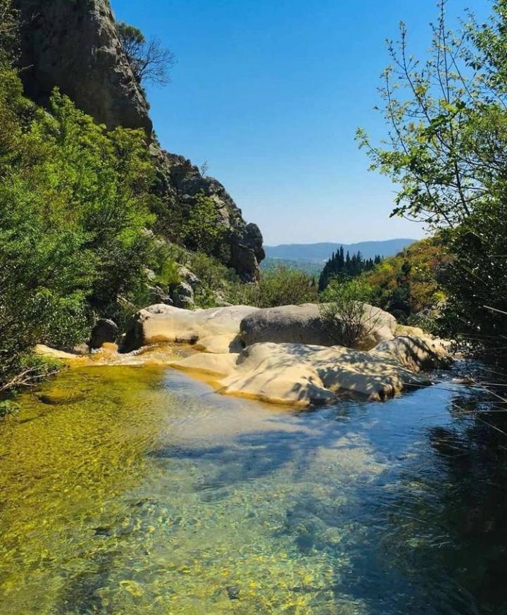 Apartmani Dumezic Bar Exteriér fotografie