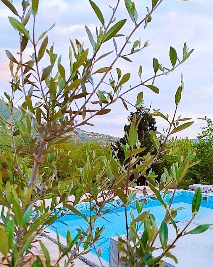 Apartmani Dumezic Bar Exteriér fotografie