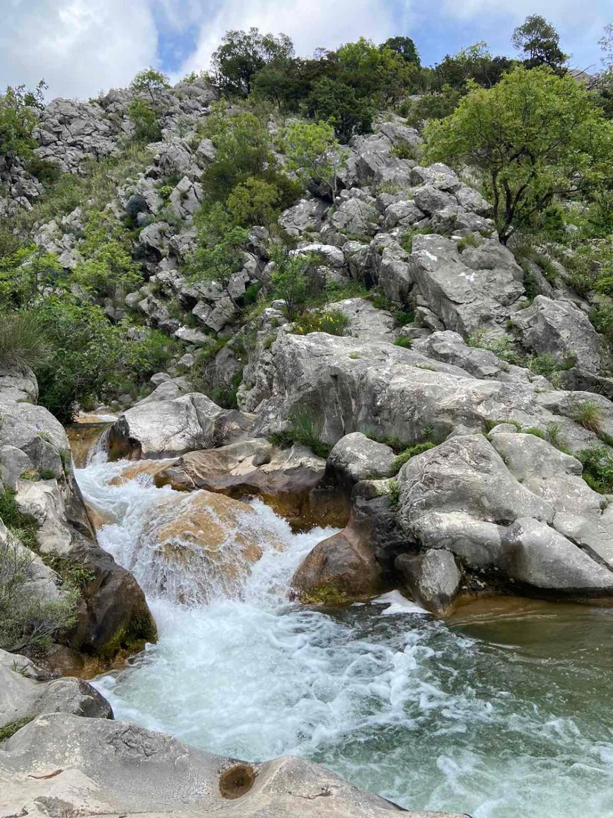 Apartmani Dumezic Bar Exteriér fotografie