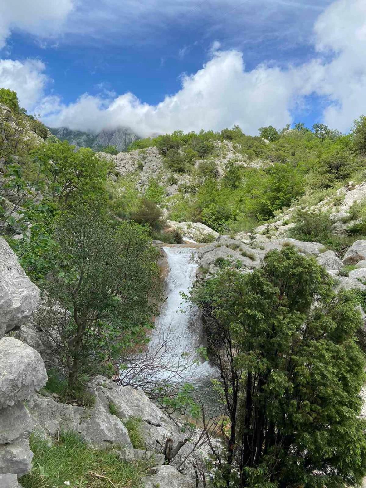 Apartmani Dumezic Bar Exteriér fotografie